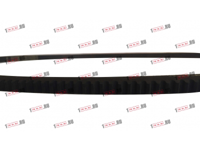 Ремень 13х1250 ЕВРОПА 13x1250 фото 1 Кострома